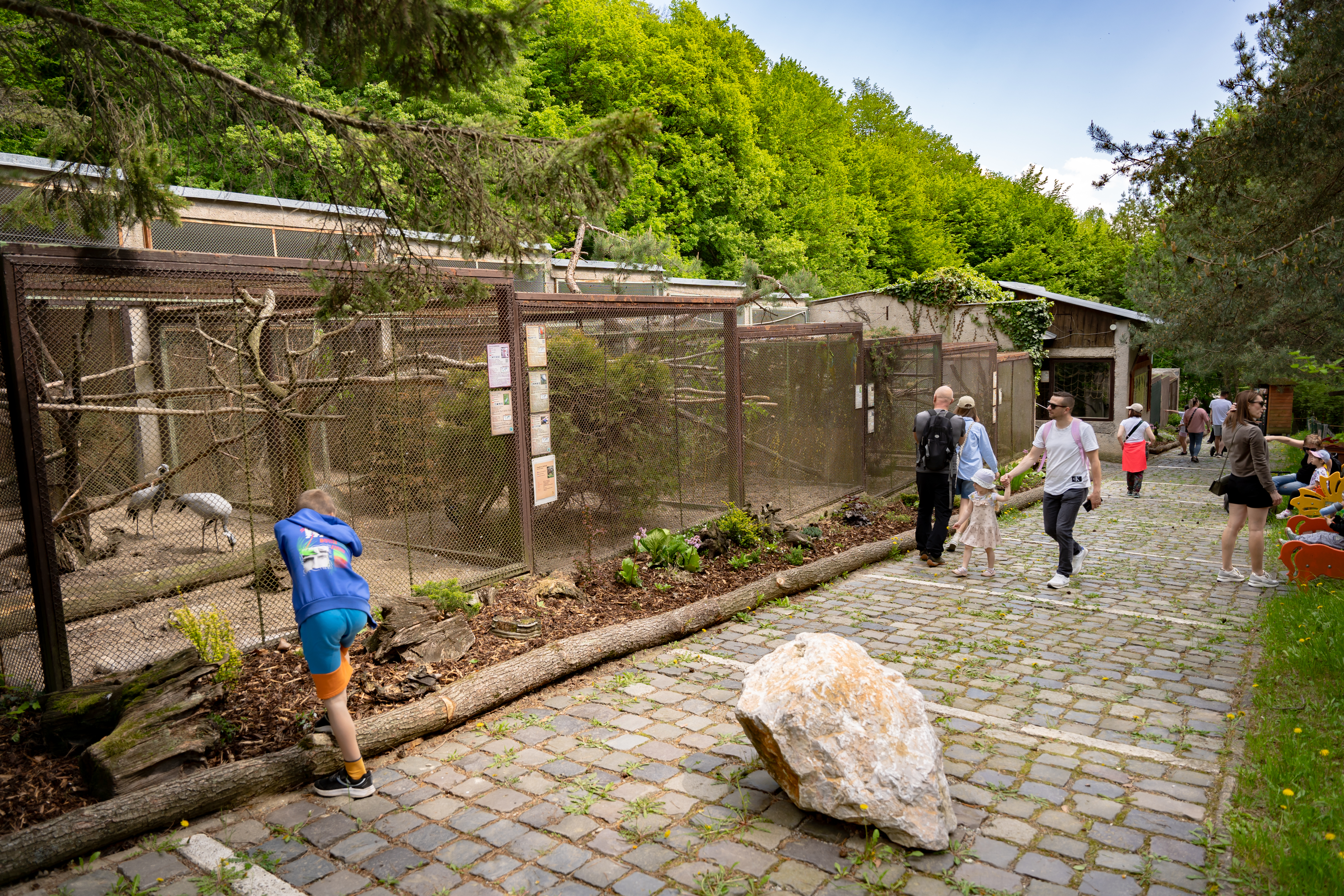 Slavnostne odomykanie brany ZOO Kosice-47
